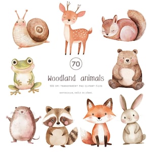 Clipart animaux, décor de pépinière, clipart aquarelle animaux mignon, clipart animaux, clipart forêt, clipart anniversaire, scrapbooking