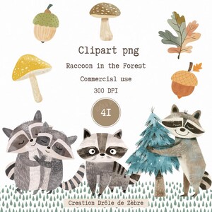 Clipart aquarelle raton laveur Clipart - téléchargement animaux mignons- téléchargement immédiat - raton laveur - illustration - clpart -png