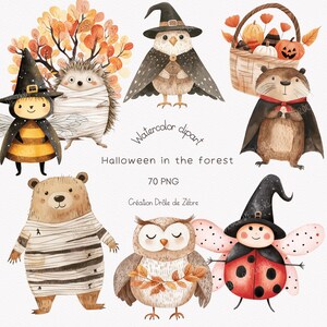 Clipart d'animaux mignons de la forêt, décoration de pépinière, aquarelle et clipart de sorcière PNG pour anniversaire et scrapbooking