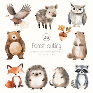 Clipart aquarelle animaux, clipart animaux mignons, décoration de chambre d'enfant, ours, hérisson, animaux des bois, PNG scrapbooking