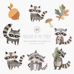 Clipart aquarelle raton laveur, décoration de chambre d'enfant, animaux mignons,  PNG pour enfants, scrapbooking, fête d'anniversaire