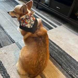 Dog Bandana / Grateful Dead / Large, Medium and Small