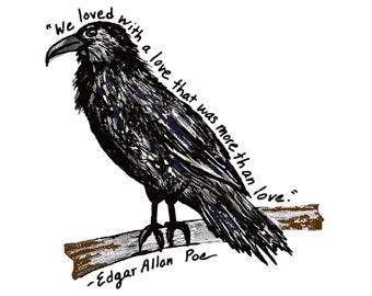 Edgar Allan Poe Cuervo Pegatina