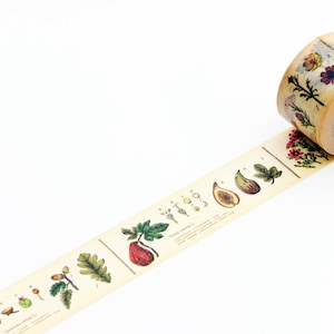 Enciclopédia de Plantas MT Masking Washi Tape