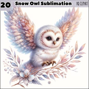 Schnee Eule Aquarell 20 Clipart, funkelnde Eule Sublimation Clipart, Baby Dusche Eule, Schnee Eule Clipart, Kinderzimmer Sublimation, digitaler Download