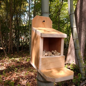 May include: A wooden bird feeder with a small opening for birds to access the peanuts inside. The feeder is mounted to a tree trunk and has a small platform below the opening.