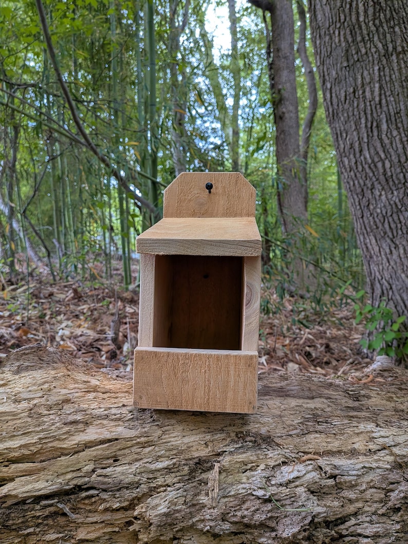Cedar Bird Nesting Box for Doves, Robins – Rustic Handcrafted Shelter ...