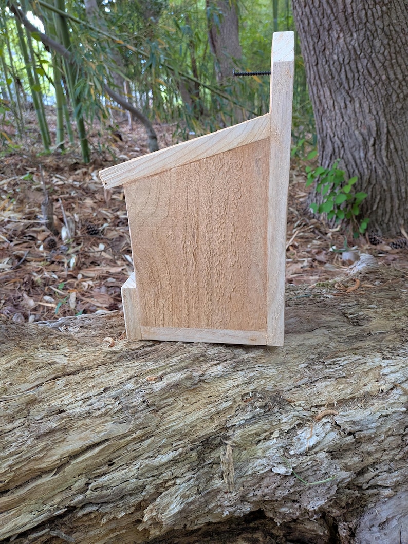 Cedar Bird Nesting Box for Doves, Robins – Rustic Handcrafted Shelter ...