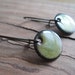 see more listings in the Enamel Earrings  section