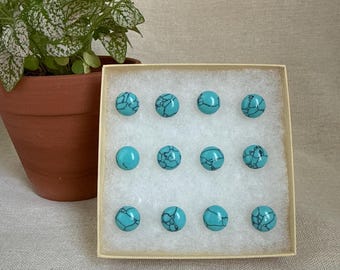Blue Turquoise Push Pins Set of 12 | Decorative Thumbtacks | Bulletin Memo Cork Board | Home Office | Cubicle | Dorm | Teacher Gift