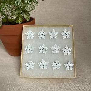 May include: A collection of twelve glittery snowflake ornaments displayed in a small, beige box. The snowflakes are white with silver glitter, and each has six points. A potted plant sits to the left of the box.