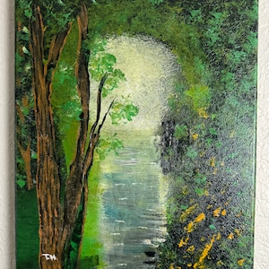 Bagliore della foresta