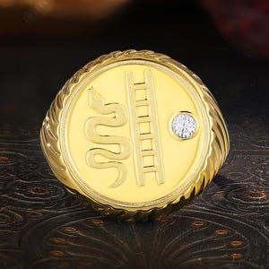 Vintage ormsigillring, guld stege symbol moissanit uttalande ring, mystisk transformation talisman gåva