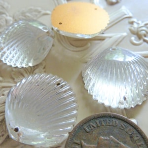 May include: Four clear glass shell-shaped embellishments with a textured surface. The embellishments are approximately 1 inch in diameter.