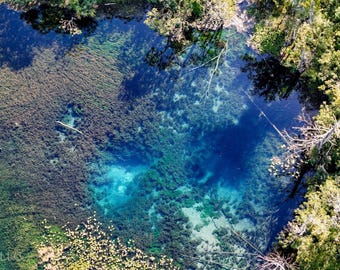 Aerial View of Silver Springs State Park, Florida – Crystal Clear Waters & Lush Nature