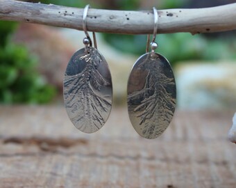 May include: A pair of silver earrings with an oval shape and a textured design resembling a tree branch.
