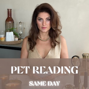 Pet Orakel Reading, Was wollen Sie wissen, Channeled Tarot Botschaften von Ihrem schönen Lebenspartner