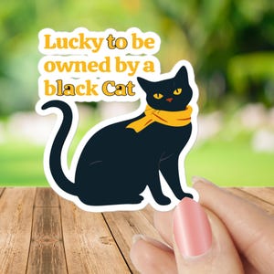 Black Cat Sticker , Cat Lover Gift , laptop decals, tumbler stickers, water bottle sticker, water bottle