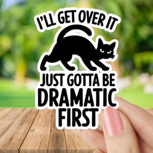 Funny Black Cat Sticker – Dramatic Cat Vinyl Decal | Sassy Cat Lover Gift, Laptop and Water Bottle Sticker , notebooks , black cat sticker