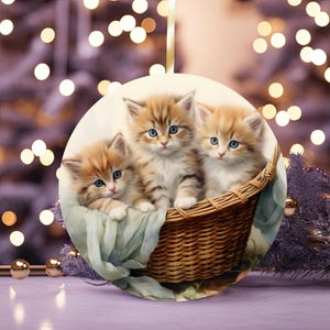 Christmas Ornament/ Cat / Great Gift