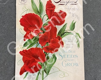 1911 Burpee’s Seed Catalog Cover Philadelphia Pennsylvania Lithograph Botanical Print Original Sweet Pea