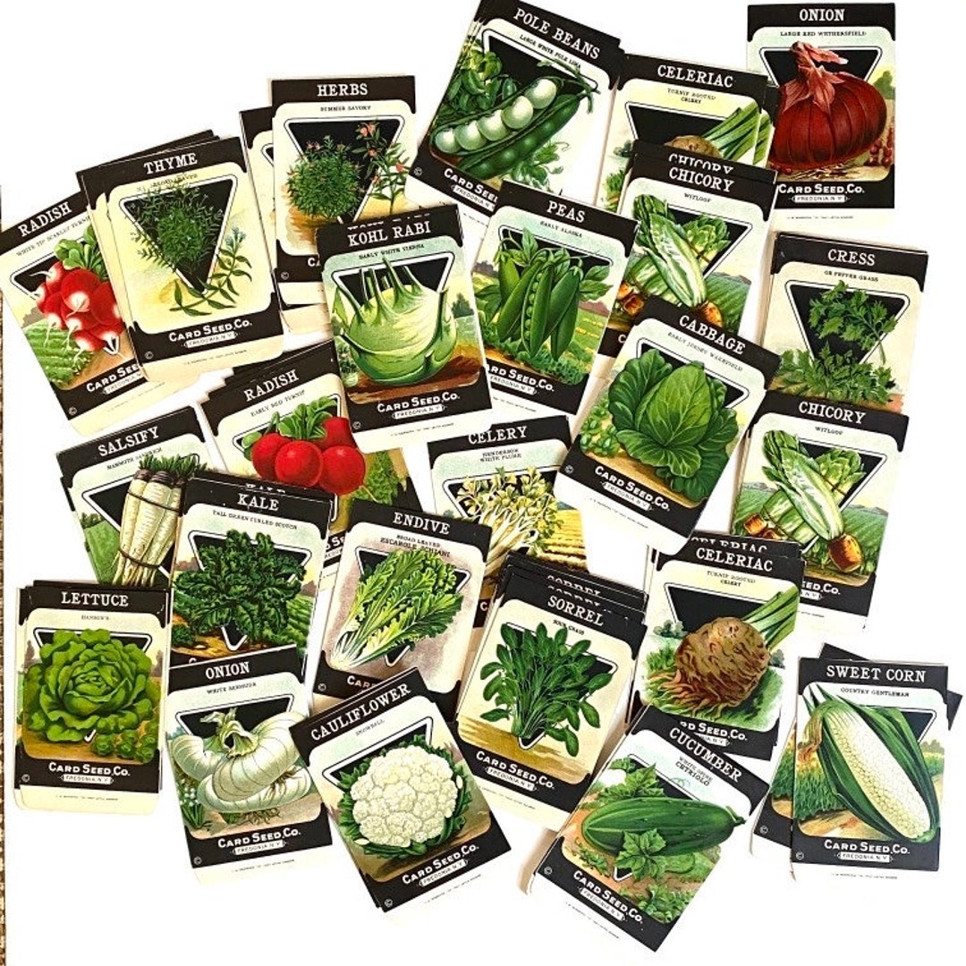 Vintage Seed Package Vegetable Herb Lithograph Packets Set of - Etsy