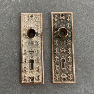 May include: Two antique brass door plates with keyholes and ornate floral designs. The rectangular plates have a tarnished finish, showing signs of age and use. The plates have a keyhole and a circular opening for the door handle.