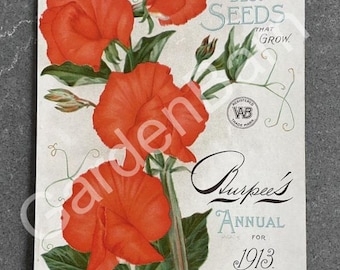 1911 Burpee’s Seed Catalog Cover Philadelphia Pennsylvania Lithograph Botanical Print Original Sweet Pea