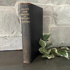 Gray&#39;s Manuel of Botany 1908 Leather Book of the Flowering Plants and Ferns
