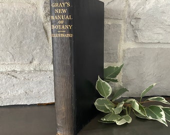 Gray's Manuel of Botany 1908 Leather Book of the Flowering Plants and Ferns