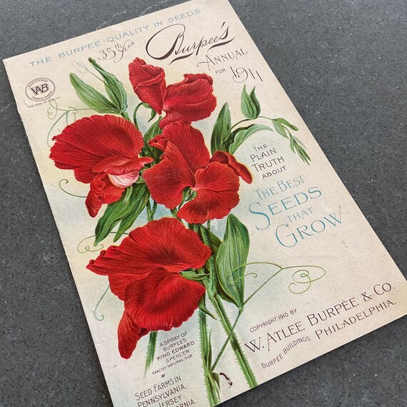 1911 Burpee's Seed Catalog Cover Philadelphia Pennsylvania Lithograph  Botanical Print Original Sweet Pea - Etsy