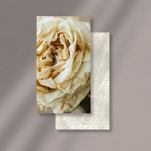 Puede incluir: Primer plano de una rosa seca de color crema con una superficie texturizada. La rosa está sobre un fondo blanco con escritura tenue.