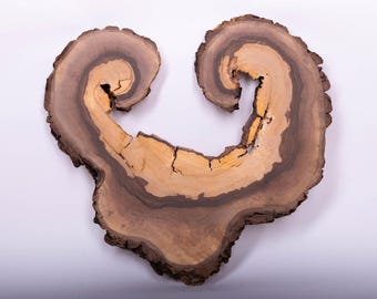 27" Natural Poplar Wood Slice | Unique Spiral Shape | Rustic Wall Art Decor | Live Edge Wood Art | Natural Sculpture | Ready to Hang