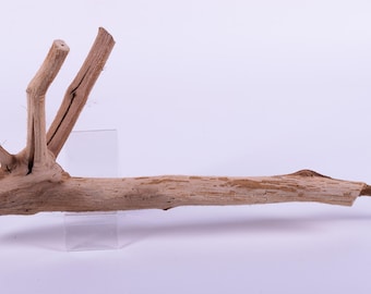 Manzanita Driftwood Grape | Decorative Branches Room | Wood Branch | Decor Unique | Real Wood Piece | Driftwood Piece | Wood Sticks Craft