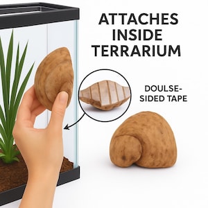 Natural Reishi Mushroom for Terrarium | Dried Fungus Adhesive | Reptile Vivarium Decor | Bioactive Tank Wall Accent | Forest Habitat Decor