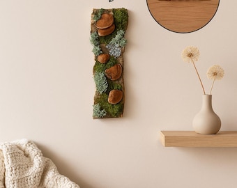 Manzanita Art | Moss on Cork Bark Natural Wall Decor | Eco Friendly Hanging Bark | Preserved Moss Mushrooms | Vertical Garden Indoor