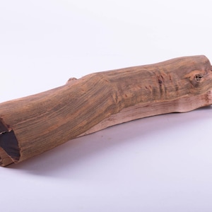May include: A natural, brown wooden log with a dark, textured end. The log has a smooth, curved shape and a lighter-coloured section on one side. The wood grain is visible, adding to its rustic appearance.