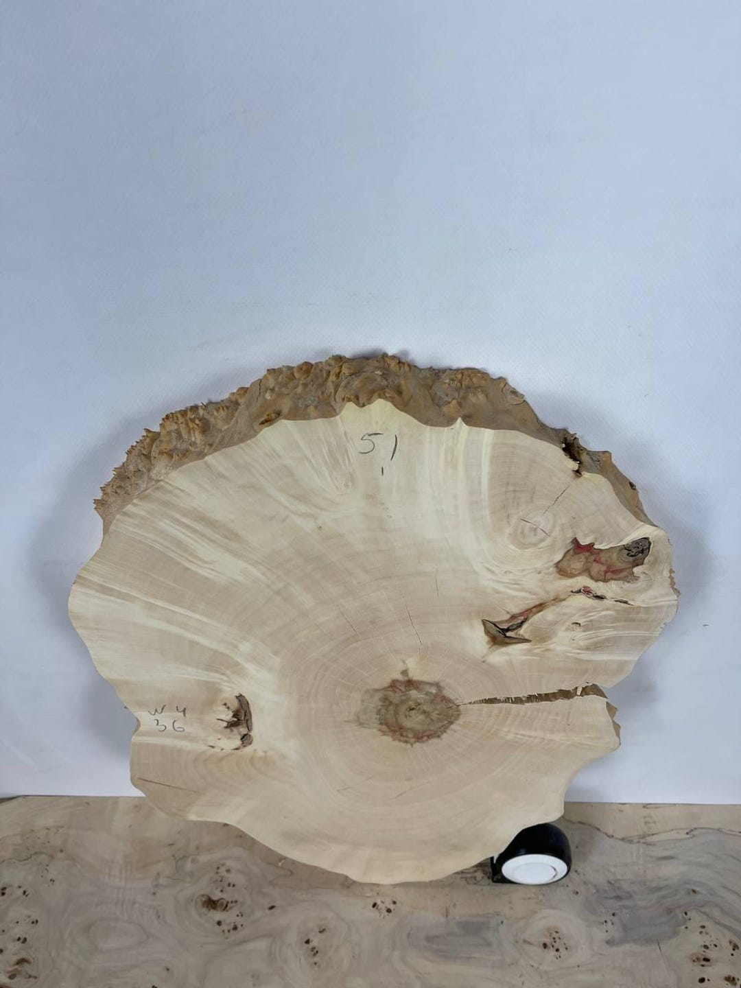 Maple Wood Slab | Live Edge Maple Slice | Natural Wood Round for Table ...