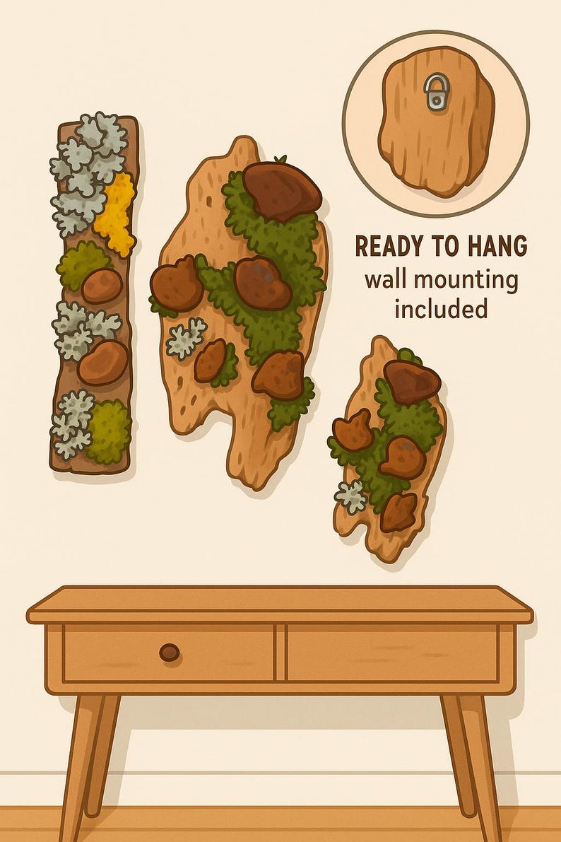 May include: Three wooden wall decor pieces with different shapes and sizes, featuring a variety of moss and lichen. The pieces are ready to hang with wall mounting included. The decor is displayed on a light brown wooden table with two drawers.