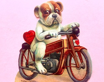 Vintage Valentines Day Card Anthropomorphic Dog Riding a Motorcycle Bulldog on Motorbike