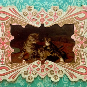 May include: A vintage card with a decorative frame featuring pink and gold floral designs. Inside the frame is a photo of three tabby cats.