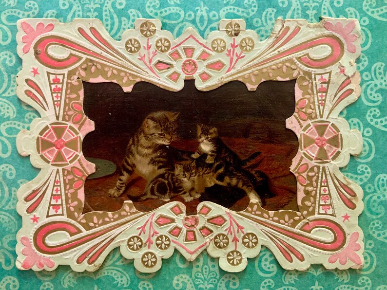 May include: A vintage card with a decorative frame featuring pink and gold floral designs. Inside the frame is a photo of three tabby cats.