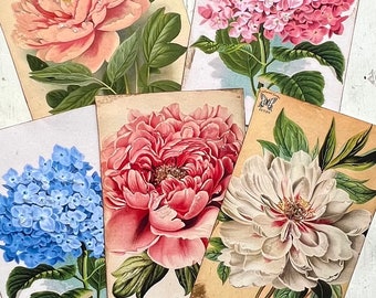 Vintage Spring Garden floral  Roses Hydrangeas Peony tags images  Altered Art flower frog Primitive seed packets