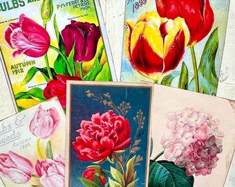 Vintage Spring Garden floral  Roses Hydrangeas Peony tags images  Altered Art flower frog Primitive seed packets