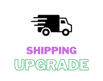 Shipping Upgrade and Price Adjustment Listing, Custom Amount