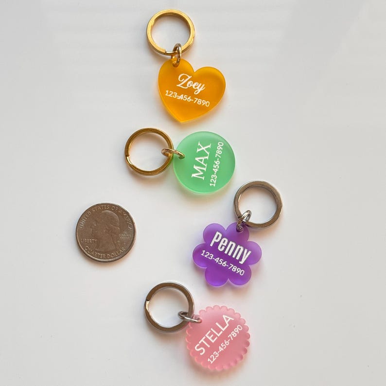Op de afbeelding: Vier acryl huisdierlabels met metalen ringen in hart-, cirkel-, bloem- en geschulpte vormen. De kleuren zijn oranje, groen, paars en roze. Elk label is bedrukt met een witte naam en het telefoonnummer 123-456-7890. Een Amerikaanse munt dient als schaal.