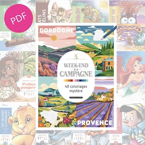 Pode incluir: Uma coleção de livros para colorir com vários temas. O livro central é intitulado "WEEK-END À LA CAMPAGNE" com "40 coloriages mystère" e ilustrações de paisagens. Outros livros apresentam personagens da Disney e animais.
