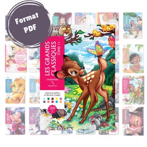 Coloriage mystère à imprimer – Livre PDF 100 pages – Activité zen pour adultes/enfants