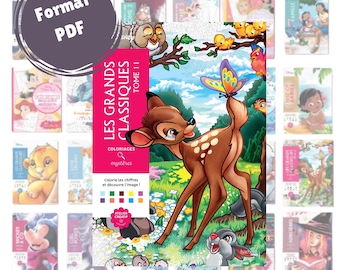 Printable Mystery Coloring Book – 100 Pages PDF Book – Zen Activity for Adults/Children