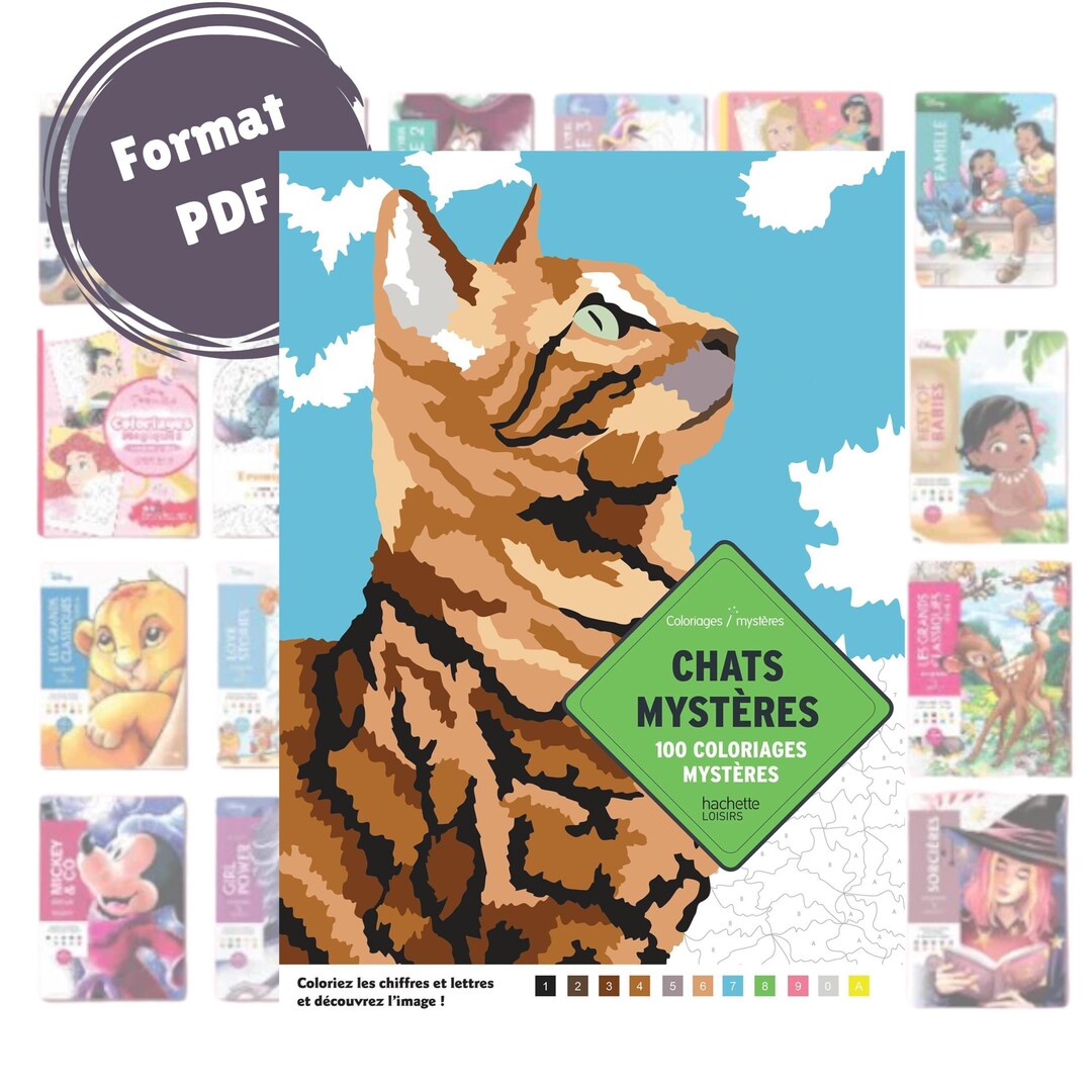 Printable Coloring by Numbers PDF – 100 Mystery Coloring Pages for ...